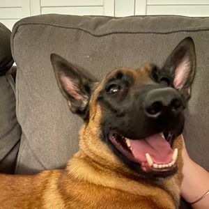 Meet your Posher, Julia